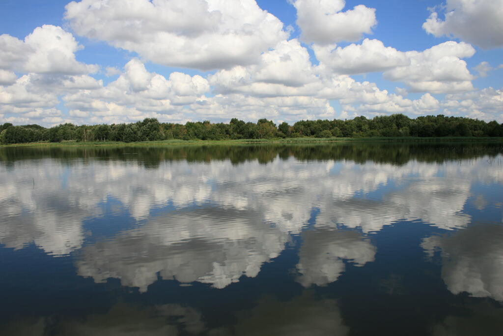 Découverte de la rive sud de l’étang Pinaud